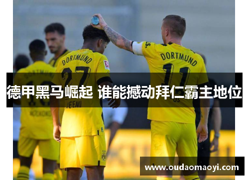 德甲黑马崛起 谁能撼动拜仁霸主地位